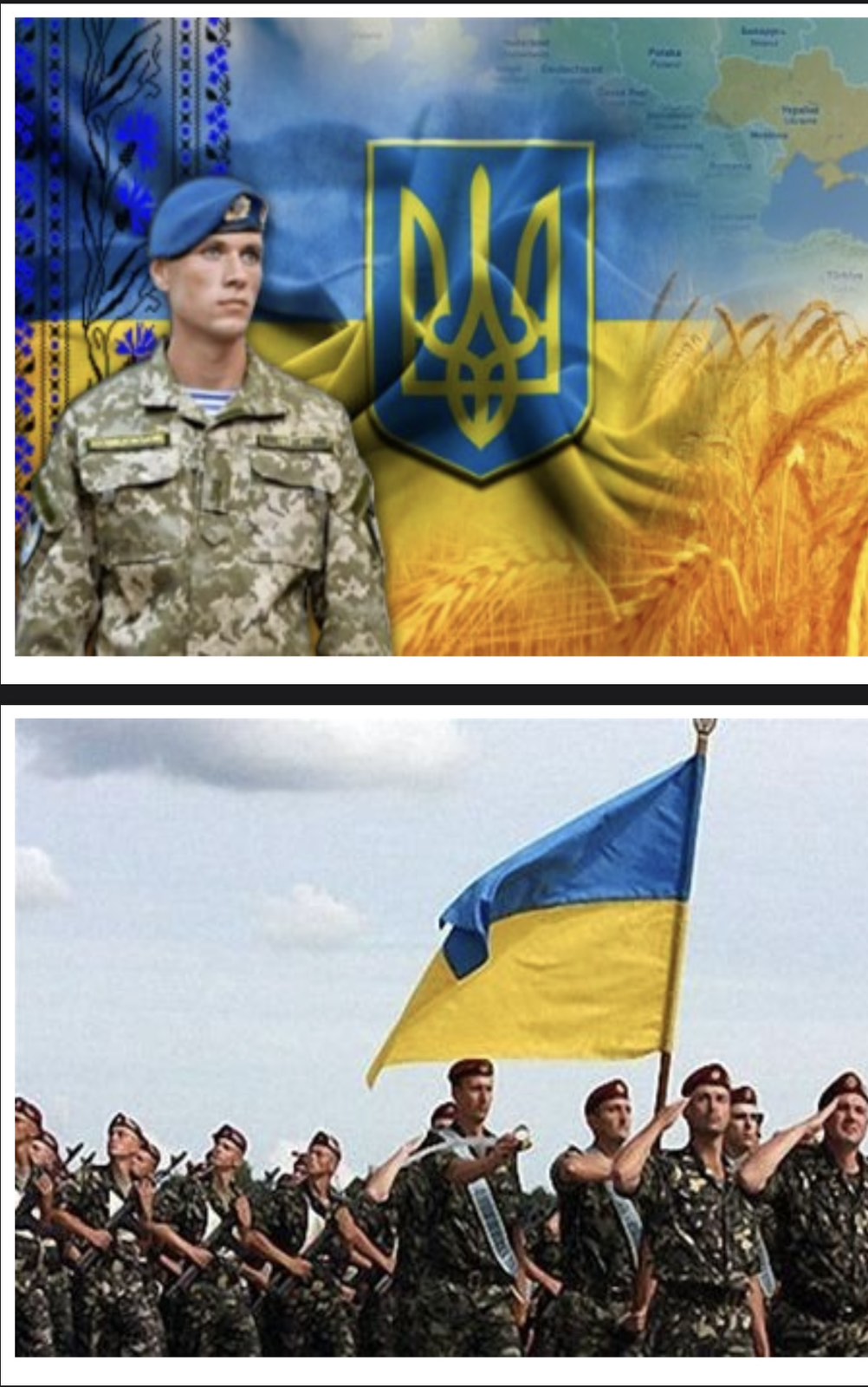 КІФК, Костянтинівський індустріальний фаховий коледж, ДВНЗ ДонНТУ, підготовка фахових молодших бакалаврів. Навчання на спеціальностях 051, 072, 076, 133, 141, 161