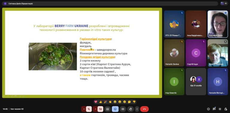 Снимок экрана (926)